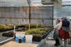inside propagating house-2